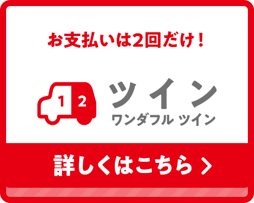 ツイン